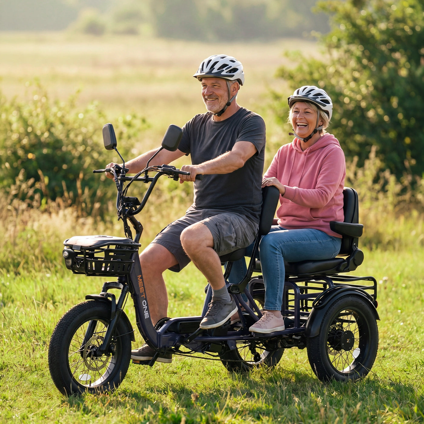 Meet One Pair Electric Trike with Passenger Seat