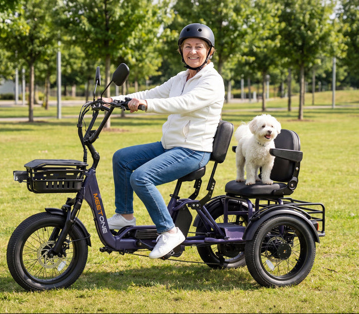 Meet One Pair Electric Trike with Passenger Seat