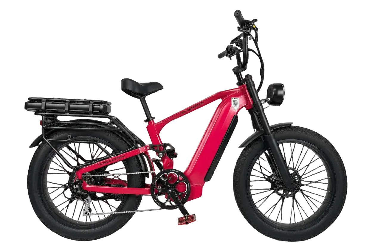 Rabid E-Bike "The Wolfhound"