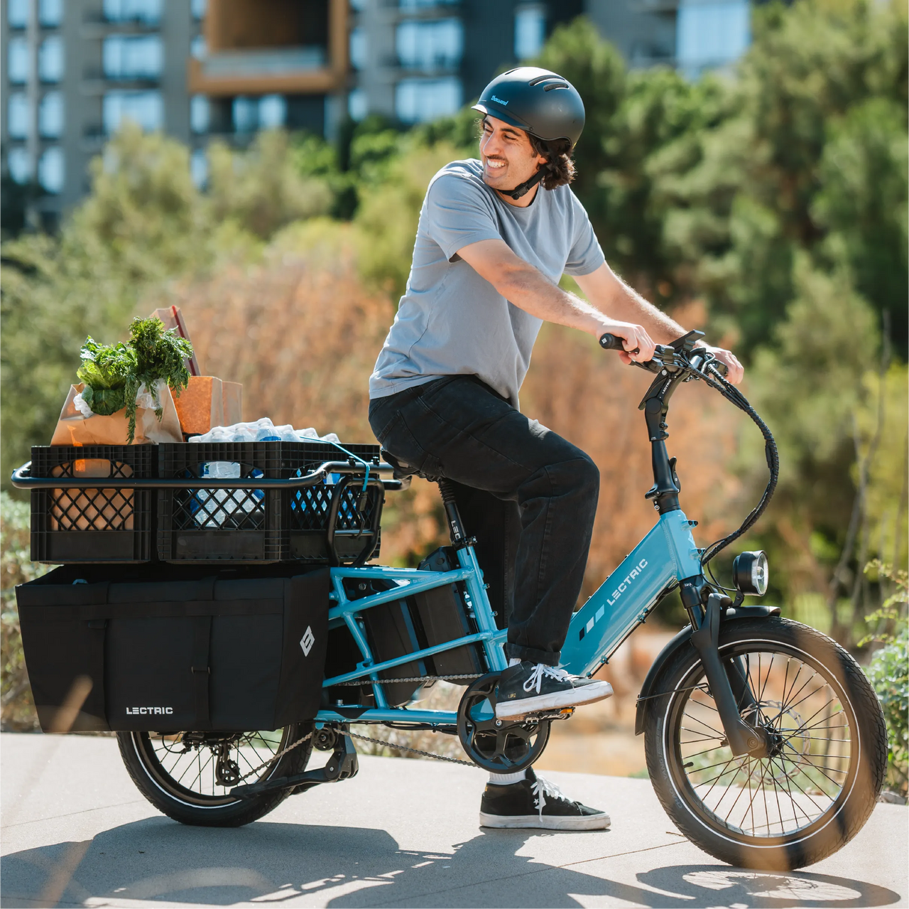 Lectric XL Cargo Pannier Bags (2)