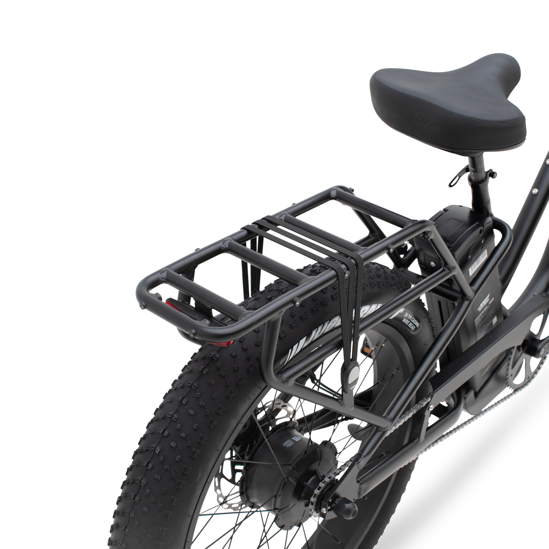 Alpha Step Thru E-Bike