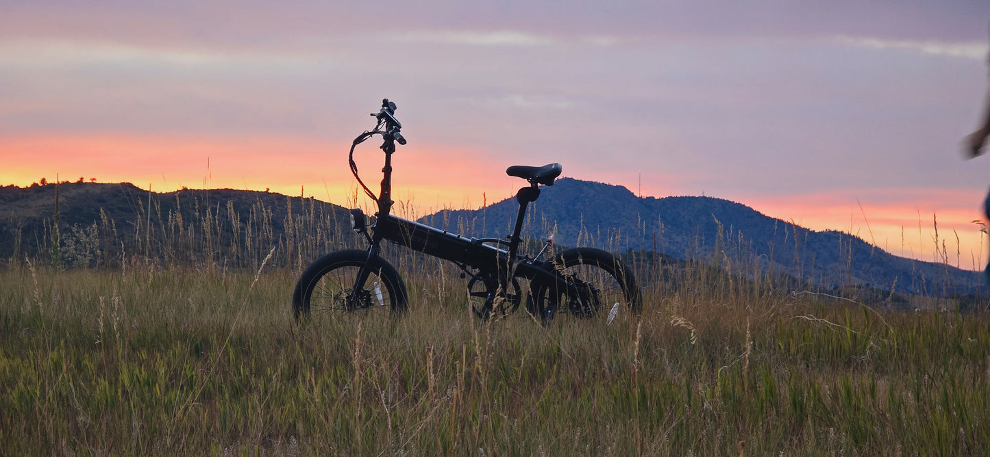 The ONE Belt-Drive E-Bike