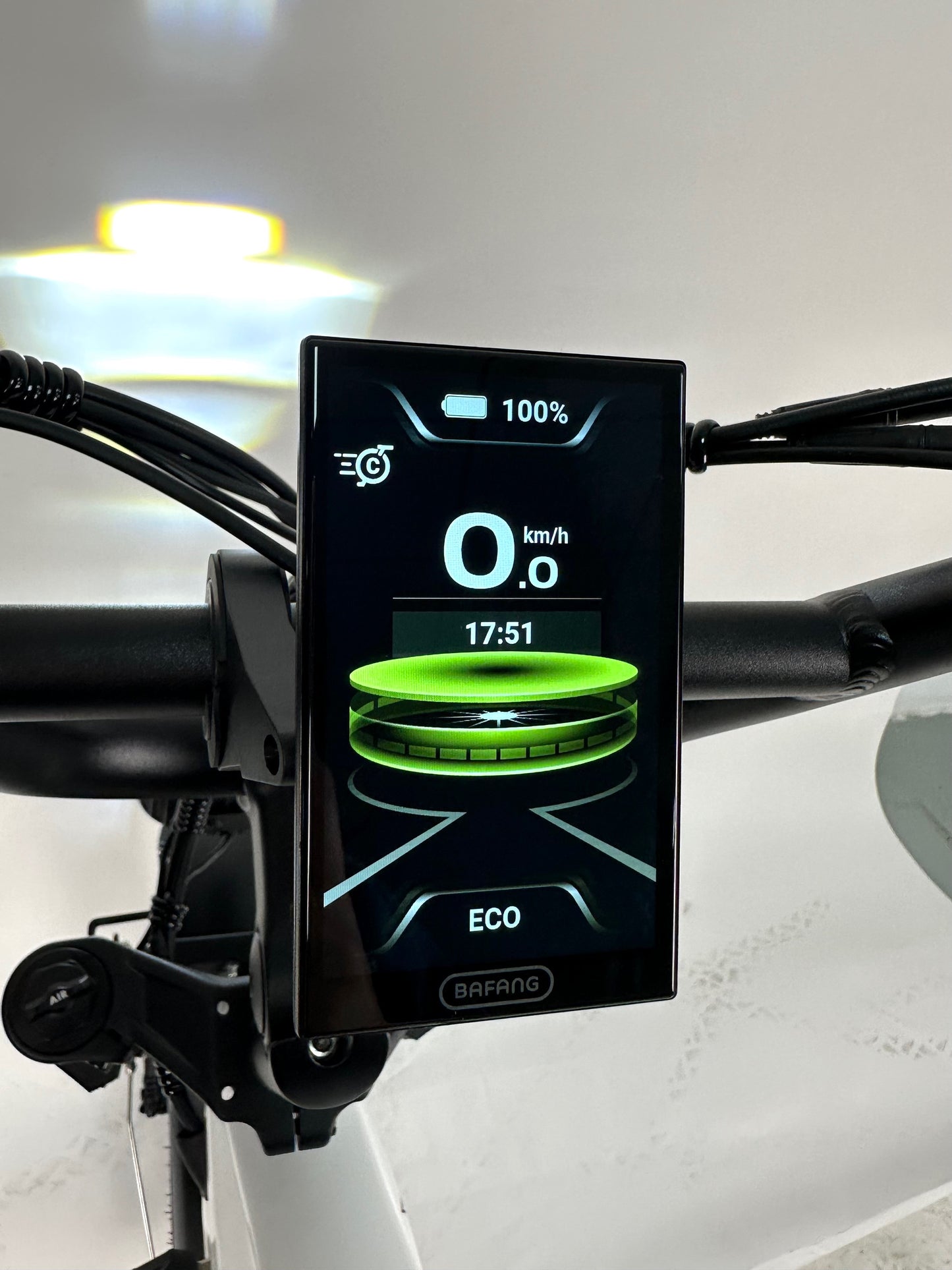 Rabid E-Bike "The Wolfhound"