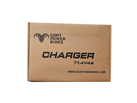 60V 17S Charger - DC Tip