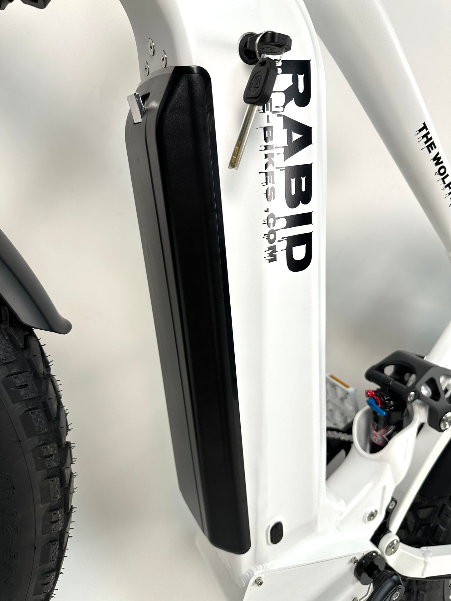 Rabid E-Bike "The Wolfhound"