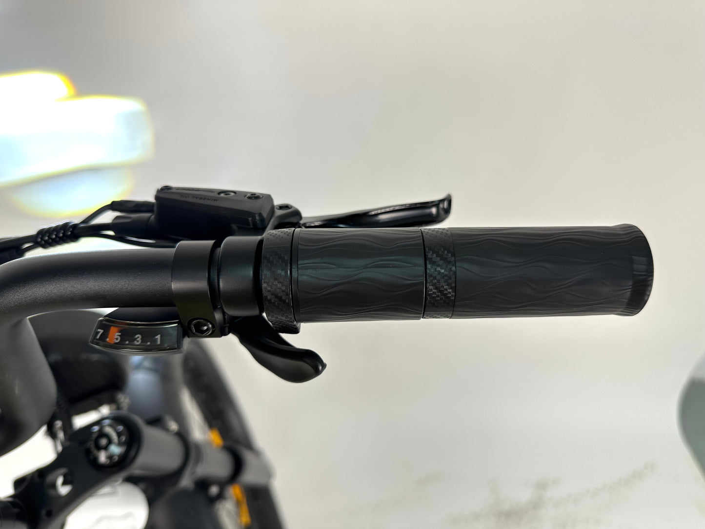 Rabid E-Bike "The Wolfhound"