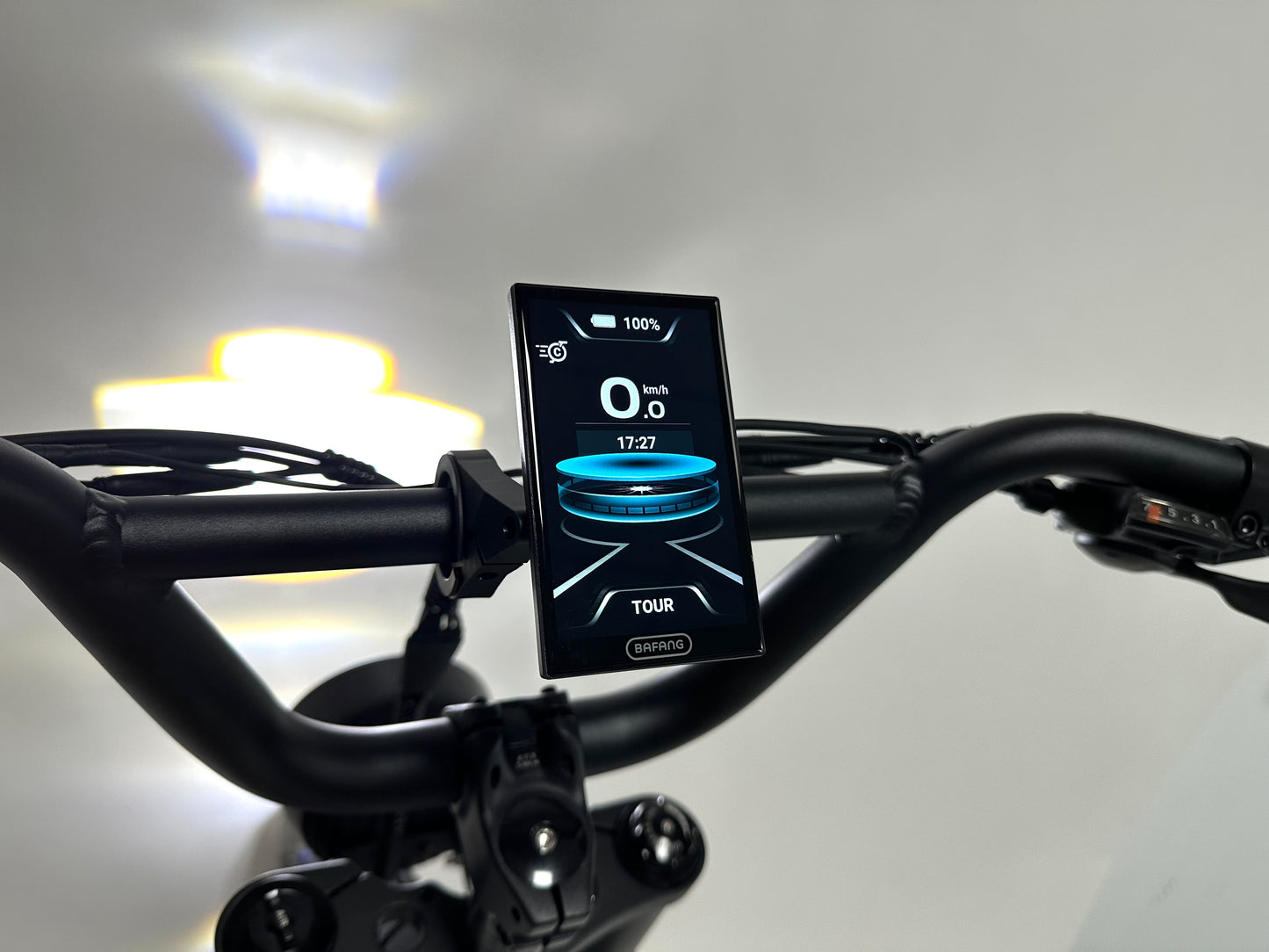 Rabid E-Bike "The Wolfhound"