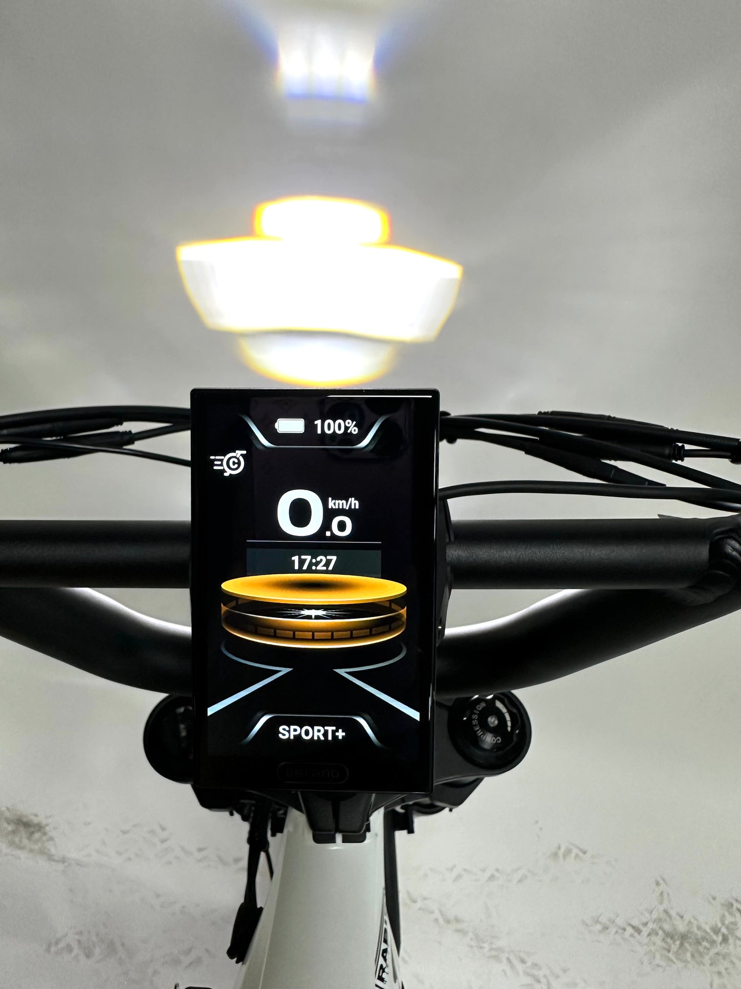 Rabid E-Bike "The Wolfhound"