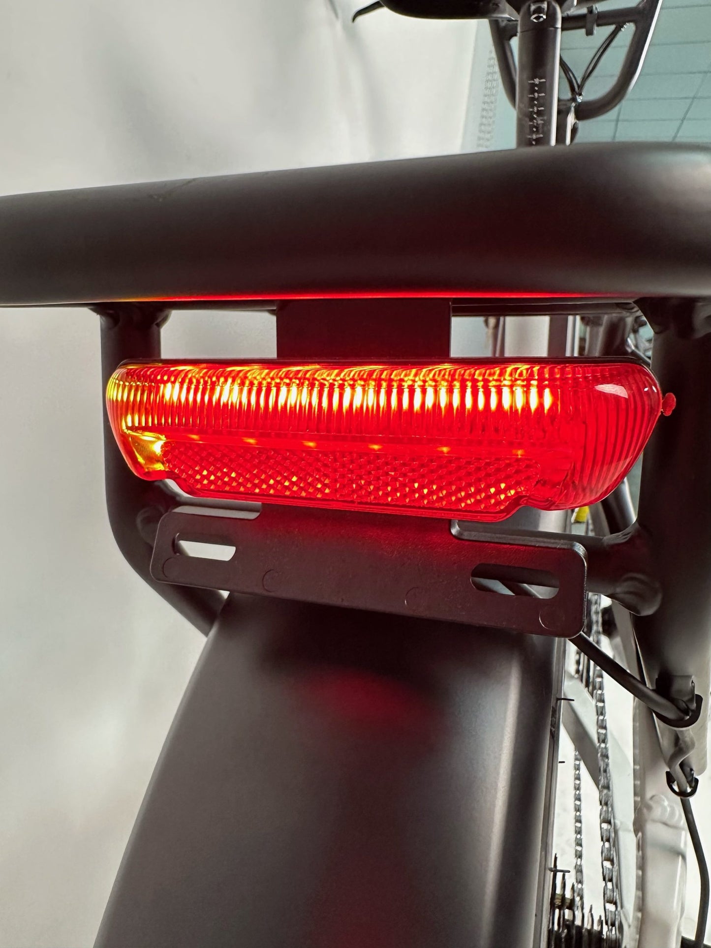 Rabid E-Bike "The Wolfhound"