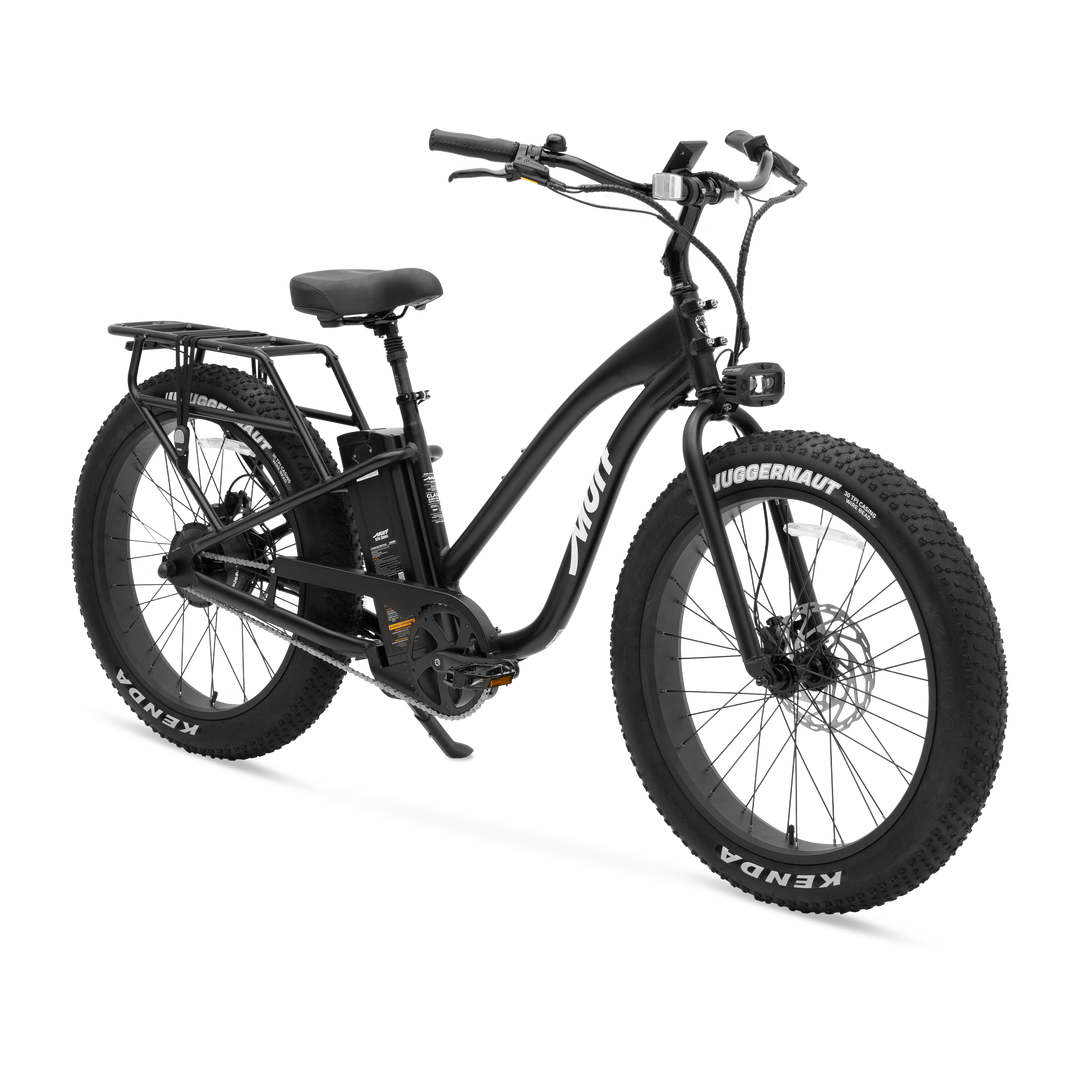Alpha Step Thru E-Bike