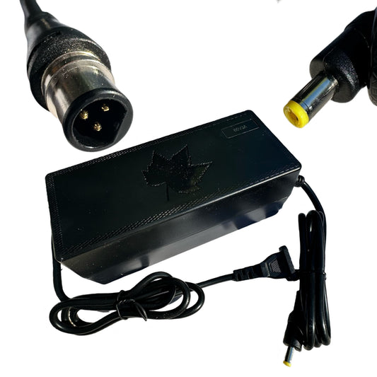 60V 3A E-Bike Battery Charger (DC) (67.2V Output) with Reention Mini 3-Pin to DC Adapter – 110V Input