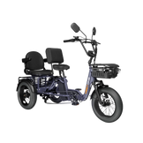 Meet One Pair Electric Trike with Passenger Seat