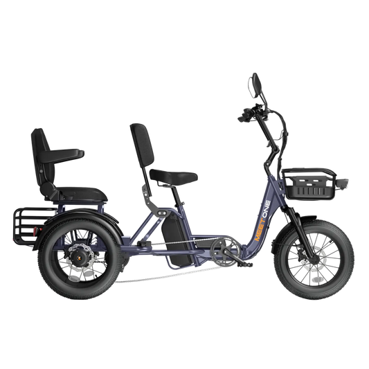 Meet One Pair Electric Trike with Passenger Seat