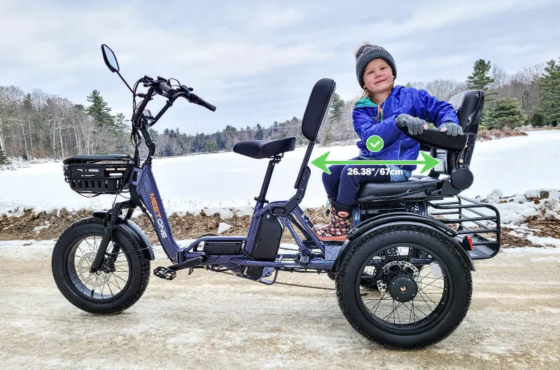 Meet One Pair Electric Trike with Passenger Seat