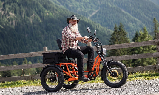 Meet One Tour 2.0 Dual Motor DEMO