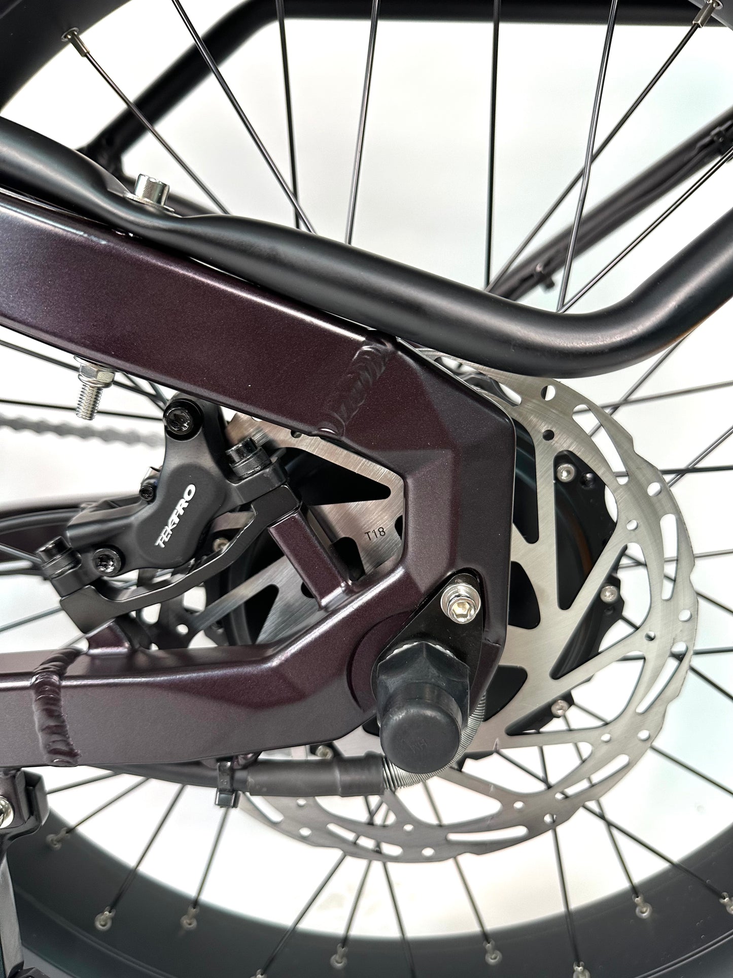 Rabid "The Rottie" E-Bike