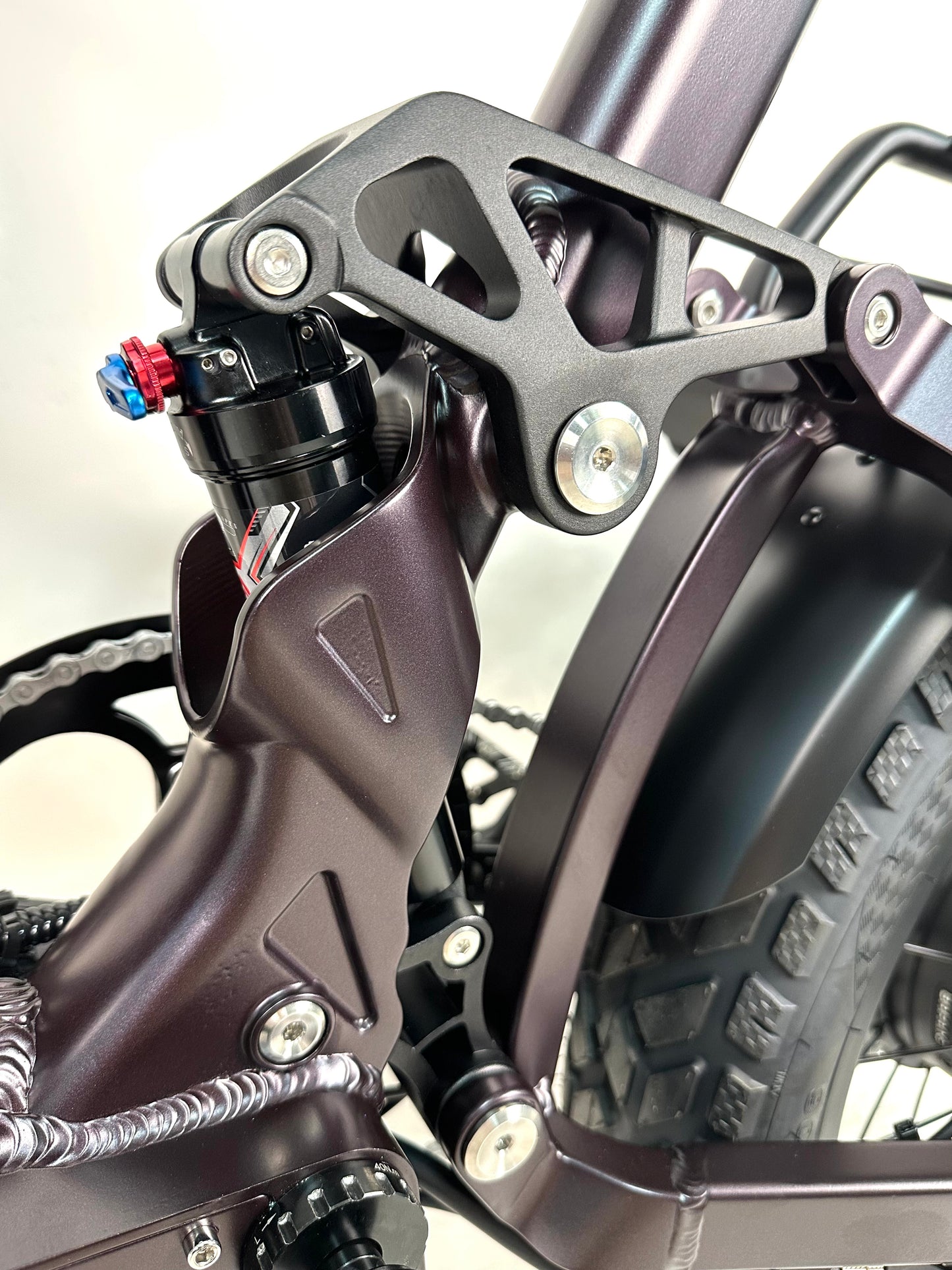 Rabid E-Bike "The Wolfhound"