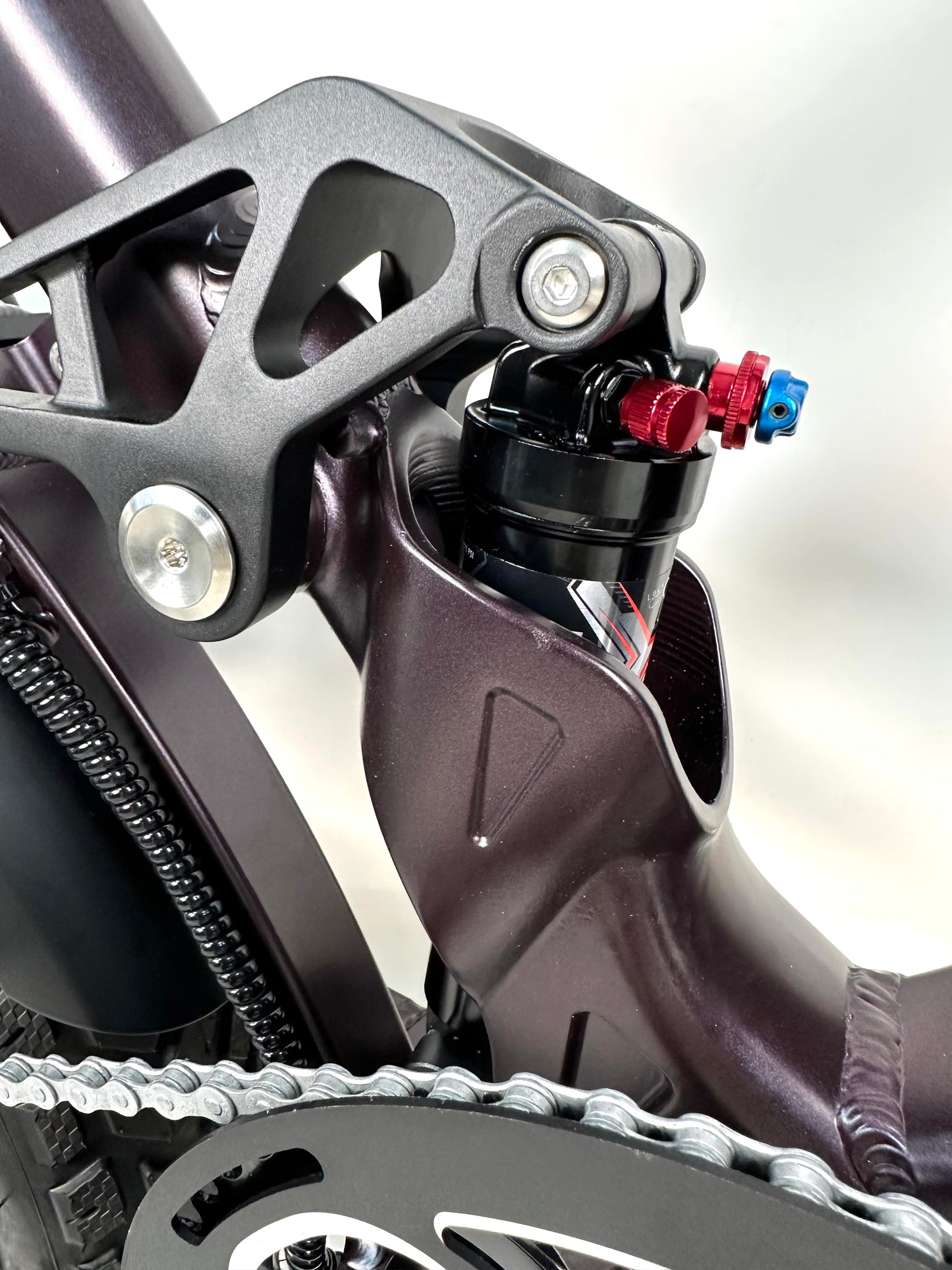 Rabid E-Bike "The Wolfhound"