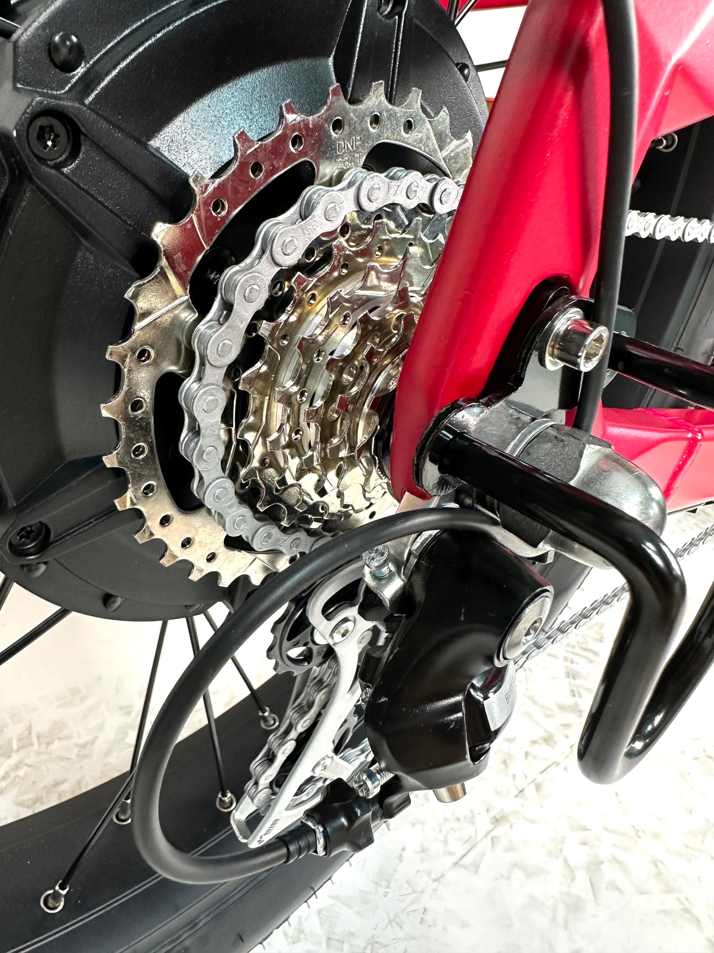 Rabid E-Bike "The Wolfhound"