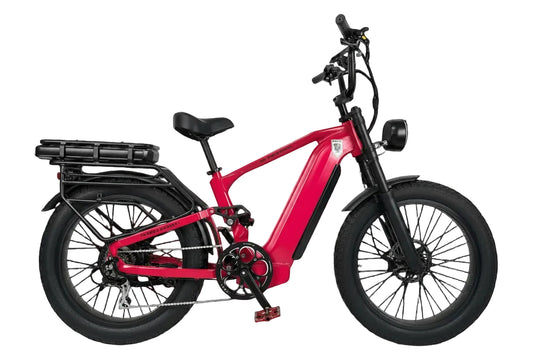 Rabid E-Bike "The Wolfhound"