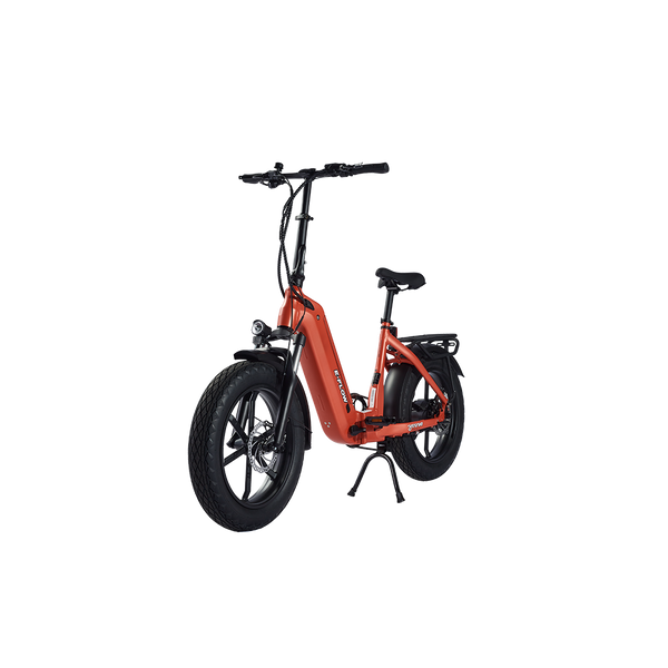 Young E-Flow Folding E-Bike
