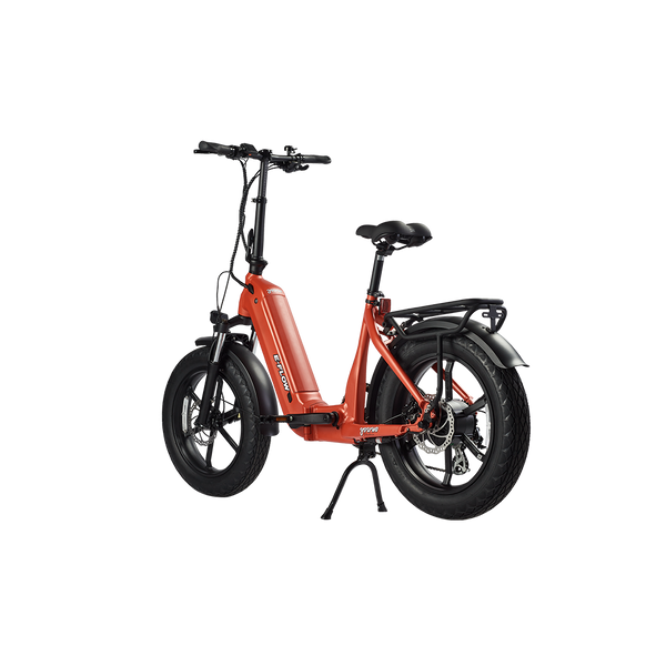 Young E-Flow Folding E-Bike