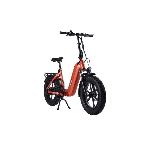 Young E-Flow Folding E-Bike