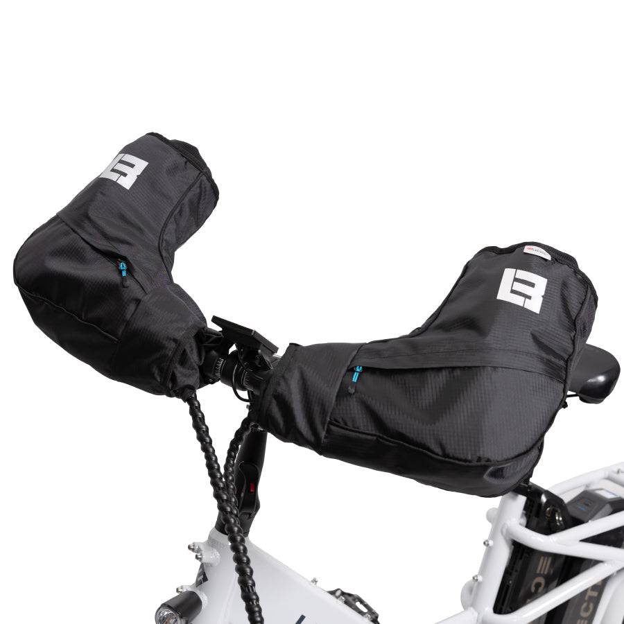 Paquete de invierno Lectric XPeak 