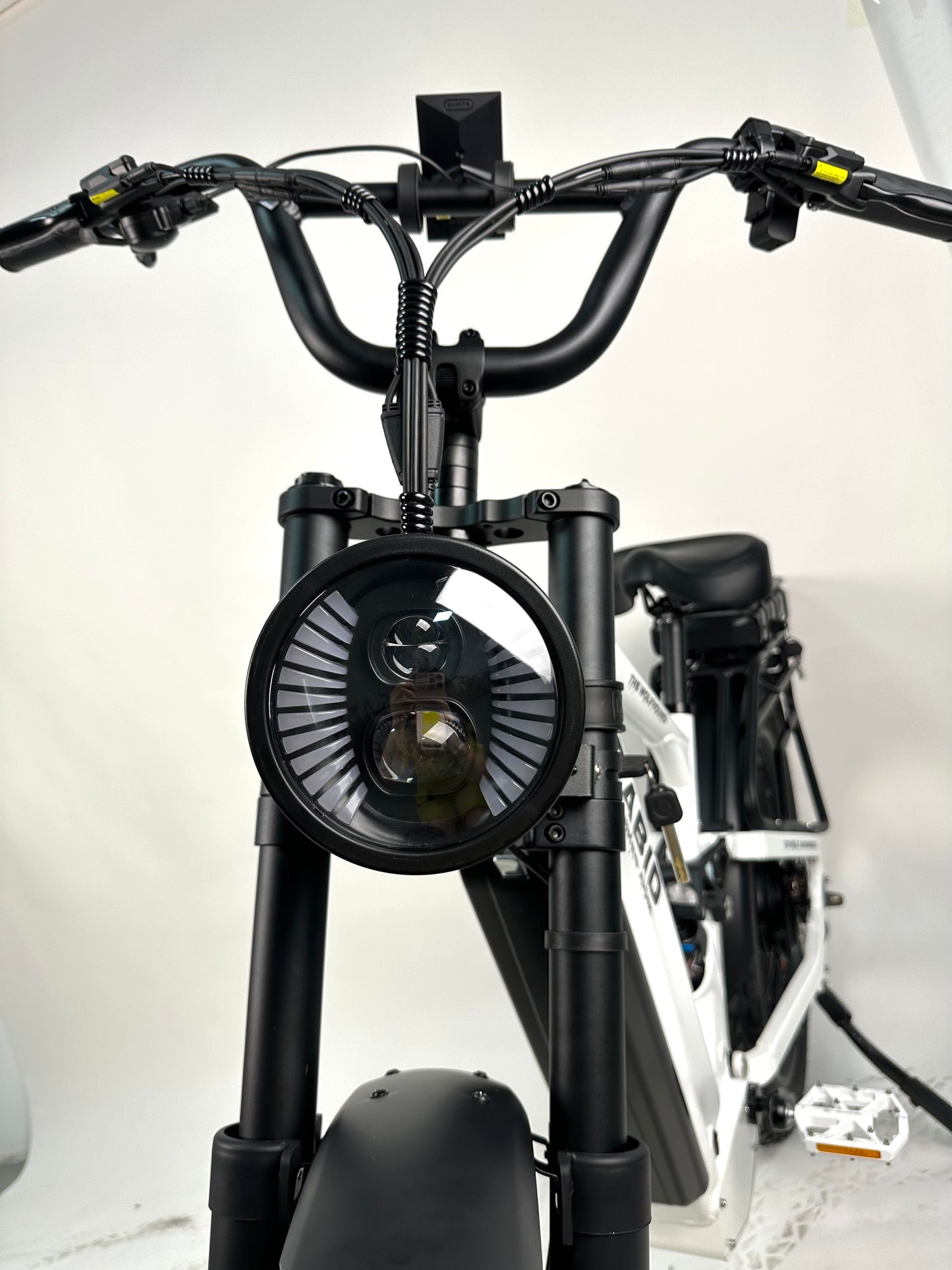 Rabid E-Bike "The Wolfhound"