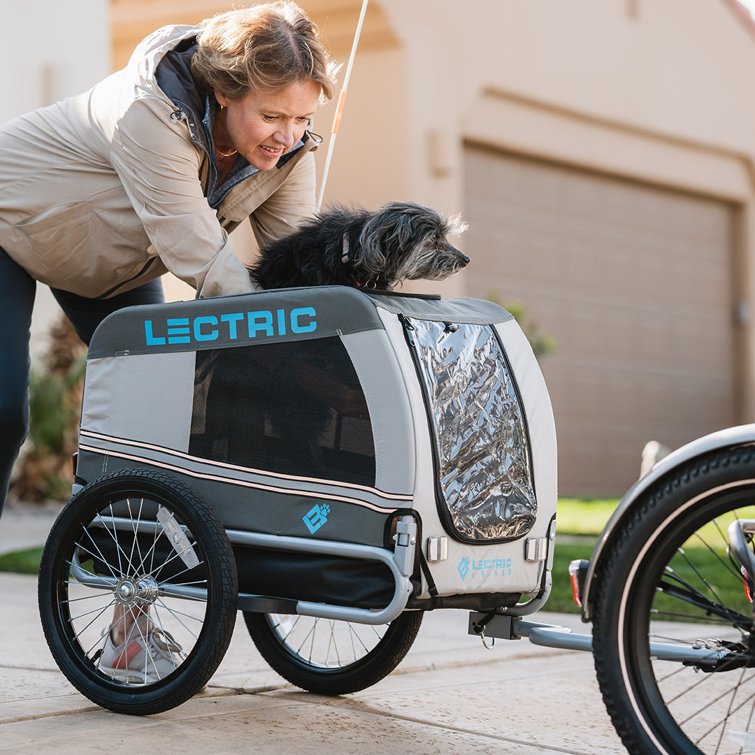 Lectric XP Trike Hitch & Tow Bar